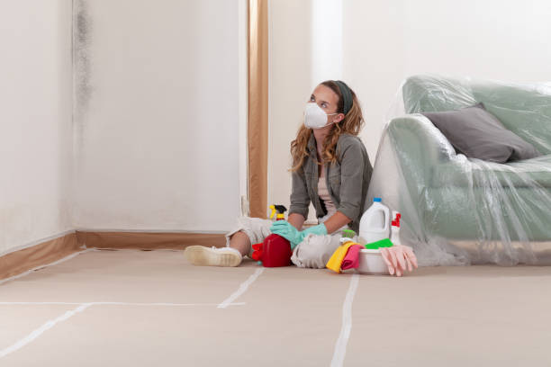 Trusted Basement Mold Remediation service in Emerson, NJ - Cheap Mold Removal